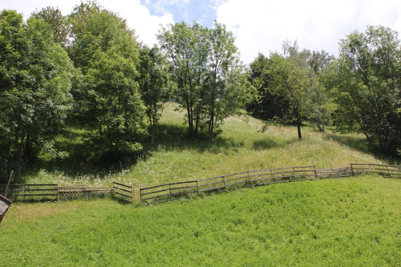 Гостевой дом Teo Guesthouse Бран-35