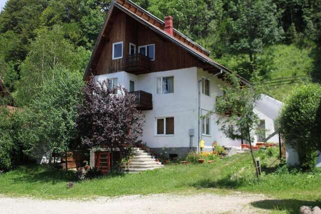 Гостевой дом Teo Guesthouse Бран-3